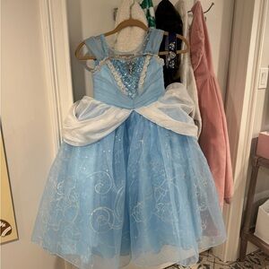 Cinderella princess dress